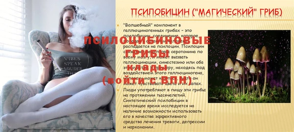 амфетамин Покачи
