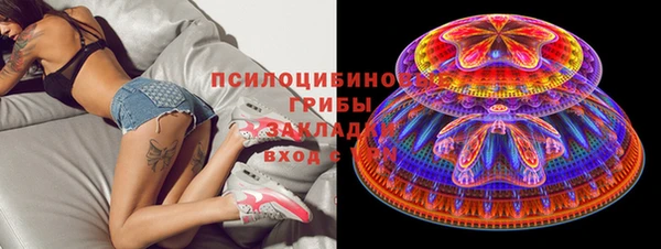 прущий лед Михайловка